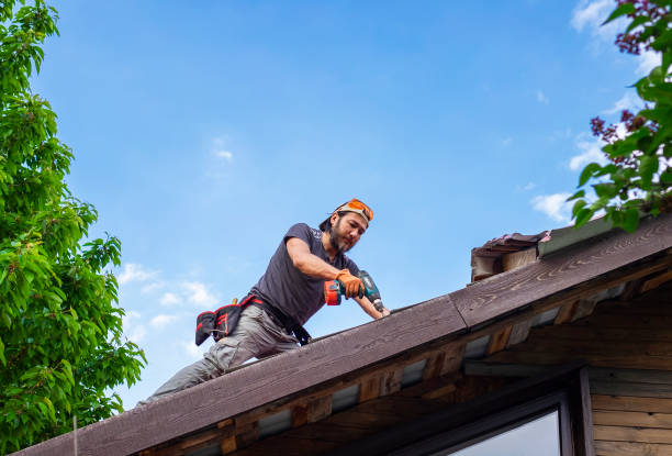 Best Roof Leak Repair  in Fulda, MN
