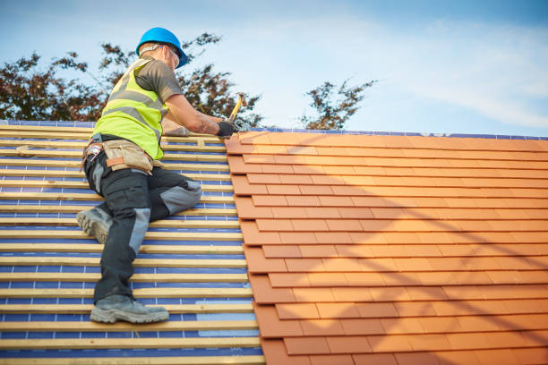 Best Roofing for New Construction  in Fulda, MN